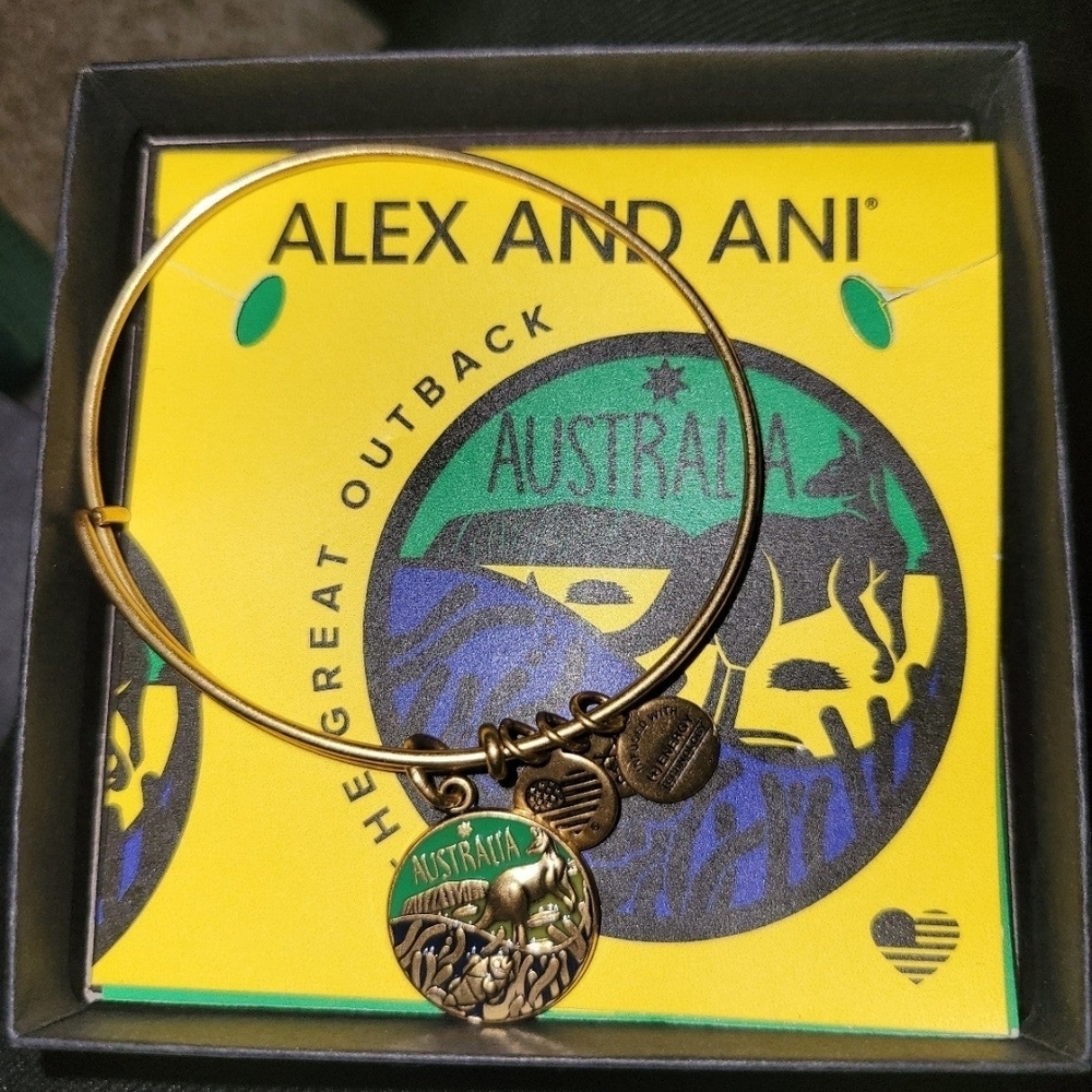 Alex and Ani Bronze Bangle With Box